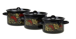 Набор каст/цил(1,5,2,9,3,9л) Рябина черн 20070092