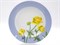 Тарелка 200 мм ф Идиллия Ситец Купальница 20102320